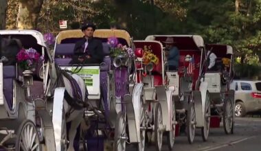New York City Council to vote on proposal to ban horse carriages by June 2028 – NBC New York