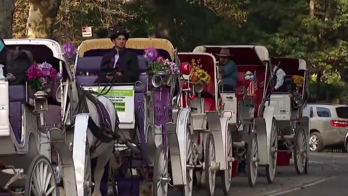 New York City Council to vote on proposal to ban horse carriages by June 2028 – NBC New York