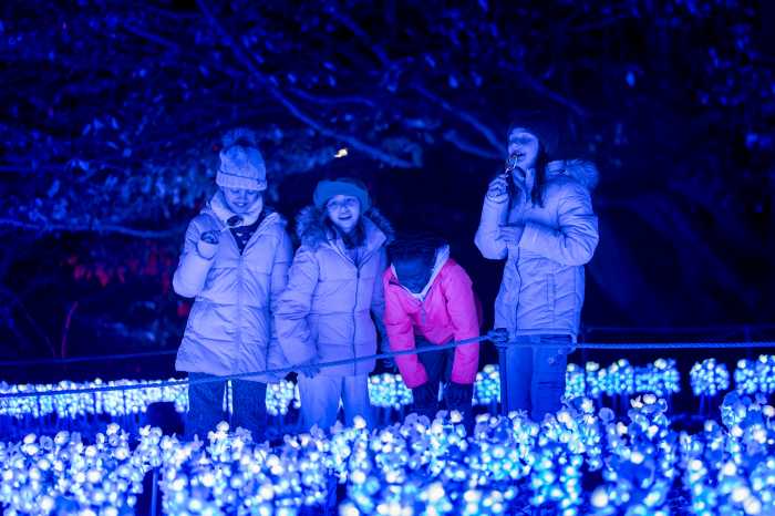 girls look at bluebonnets at lightscape