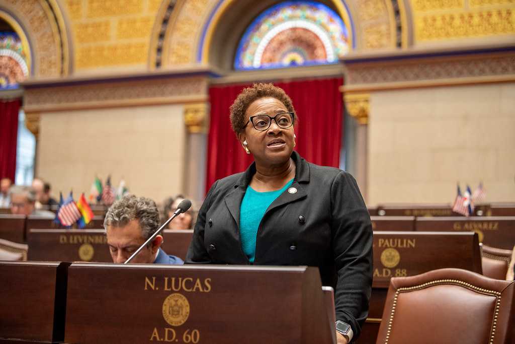 Brooklyn Dems claim to elect new chair, despite court orders • Brooklyn Paper