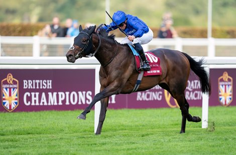 Talk of New York Brilliant in Queen Elizabeth Victory
