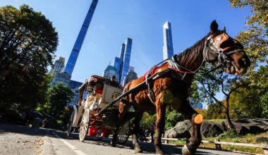 New York bans horse-drawn carriages after decadelong battle