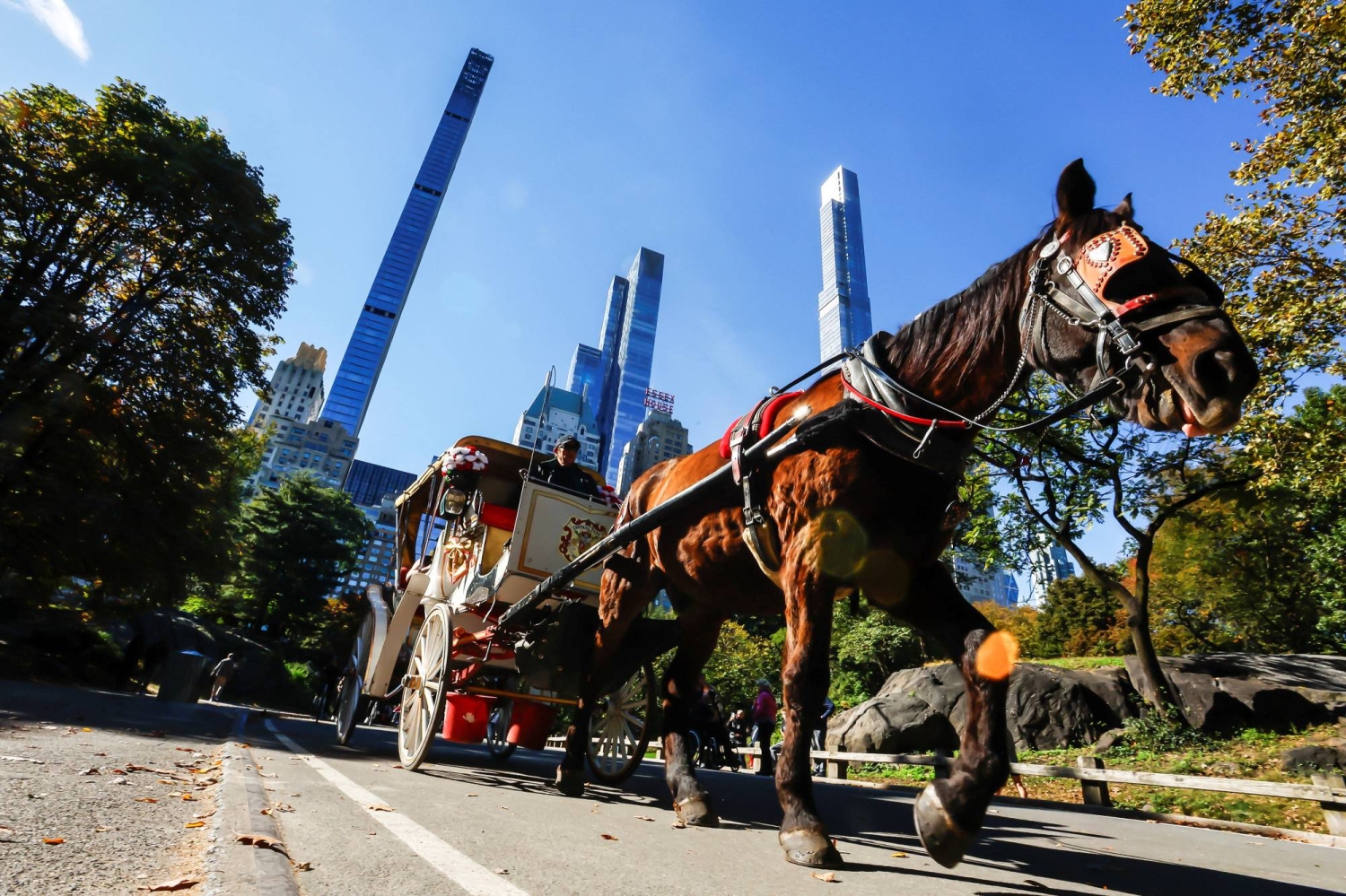 New York bans horse-drawn carriages after decadelong battle