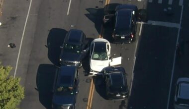 Victims identified in fatal Bronx chain-reaction crash