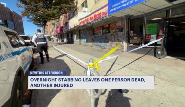 News 12 | Bronx | Man Stabbed To Death In Kingsbridge Heights