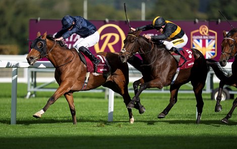 Mount Atlas (P J McDonald,right) beats Queenstown (Ryan Moore) in the Long Distance Cup Ascot 17.10.26 Pic: Edward Whitaker