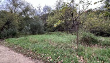 VOTER'S GUIDE: 2 in contest for Three Rivers Park Board, District 3 | Psa