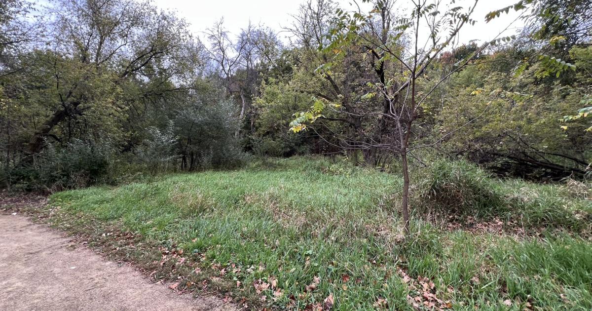 VOTER'S GUIDE: 2 in contest for Three Rivers Park Board, District 3 | Psa