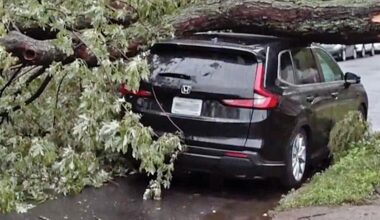 Queens in recovery after fall nor’easter |