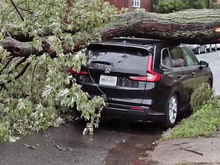 Queens in recovery after fall nor’easter |