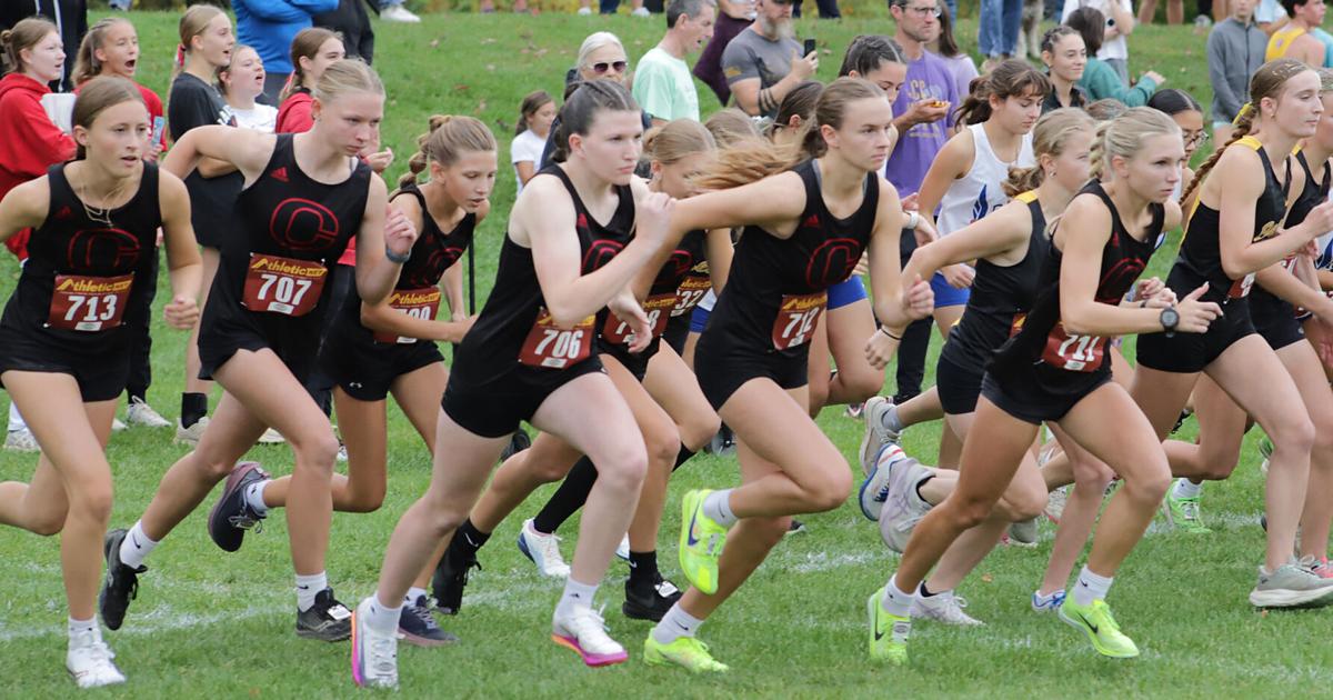 Sabers, River Queens earn all-conference honors at MAC cross country meet | High School Sports