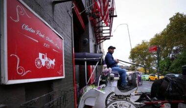 After generations in Central Park, horse-drawn carriages face a ban