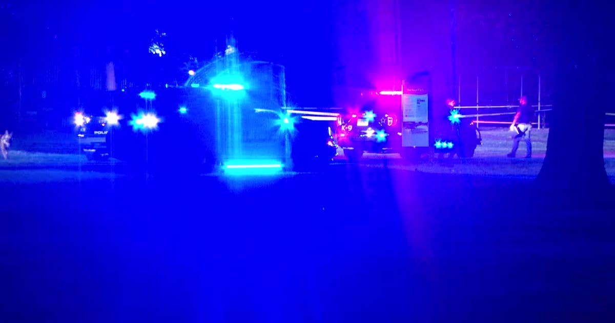 Brooklyn Park teen shooting suspect ordered to stand trial as adult