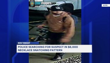 News 12 | Brooklyn | Suspect Wanted In Brooklyn Necklace Snatching Pattern