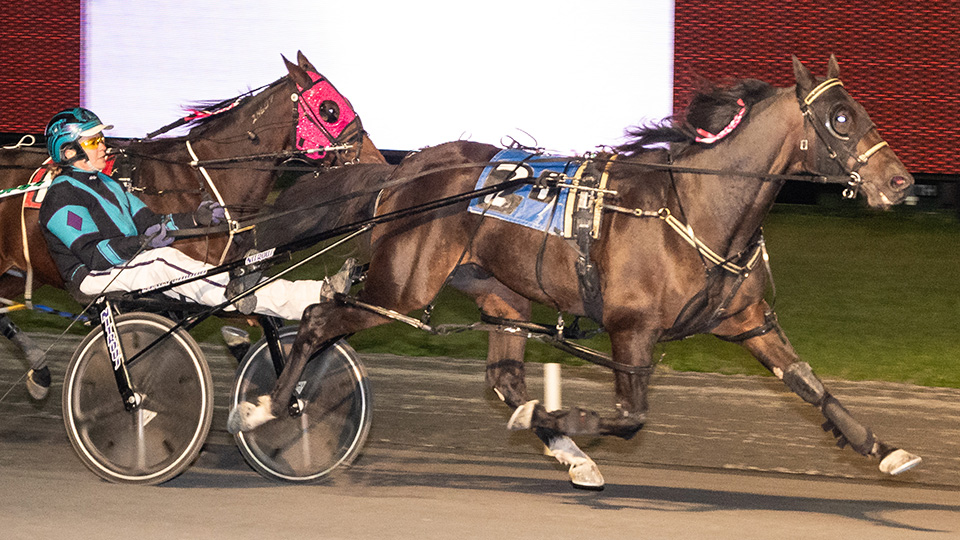 Erik Jones/Room 9 Photography): Stacy Chiodo drove Lucky Streak to victory in a Sulky Queens Driving Series event
