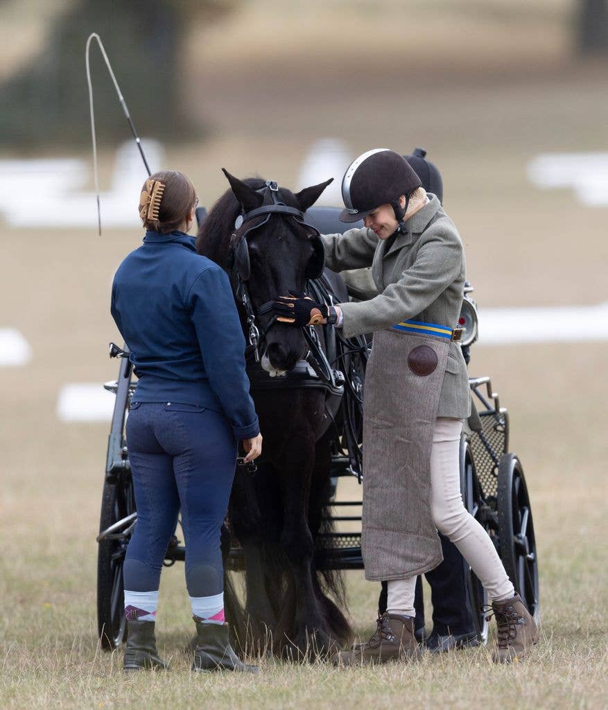 Lady Louise Windsor gave her horse some TLC as she competes in the final meet of the carriage driving season 
