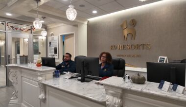 News 12 | Brooklyn | Rebuilding Brooklyn Lifes Not So Ruff At Luxury Pet Spa Resort Opens In Dumbo