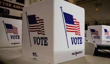 Voting divider