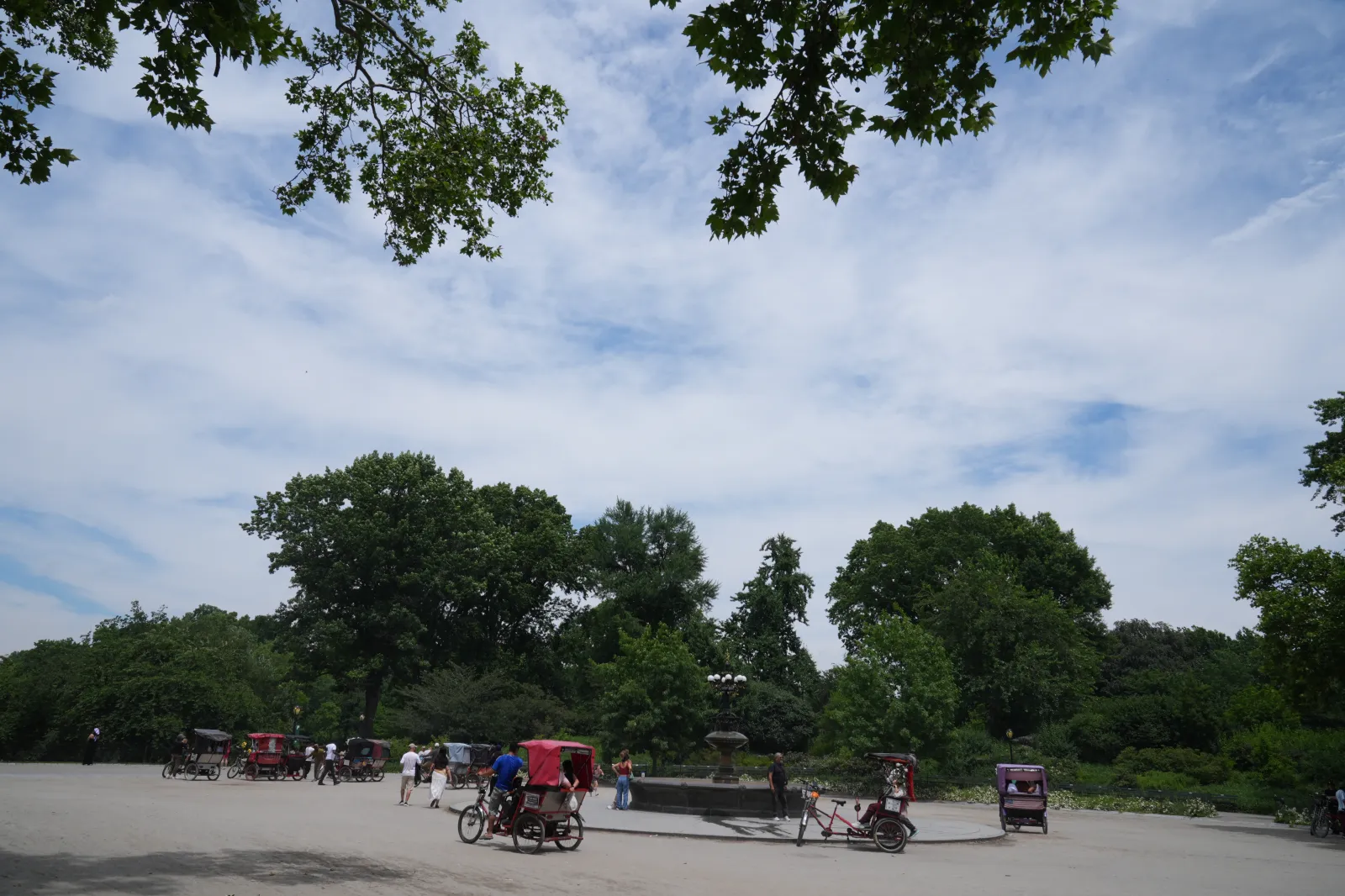 Pedicabs move past the Cherry Hill fountain in Central Park on June 18 in New York City. (AP Photo/Frank Franklin II)