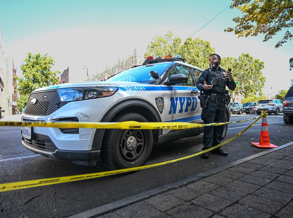 police in the bronx at scene of deadly stabbing