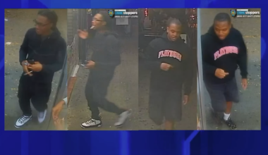 News 12 | Brooklyn | Robbers Beat 60 Year Old Man With Tree Branches In Prospect Park