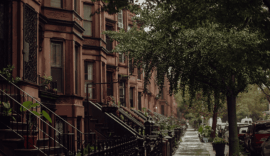 Black homeowners deed theft