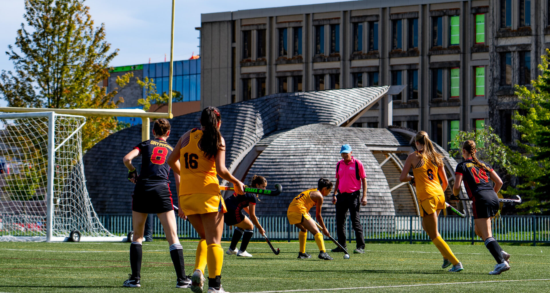Sport as a path to reconciliation