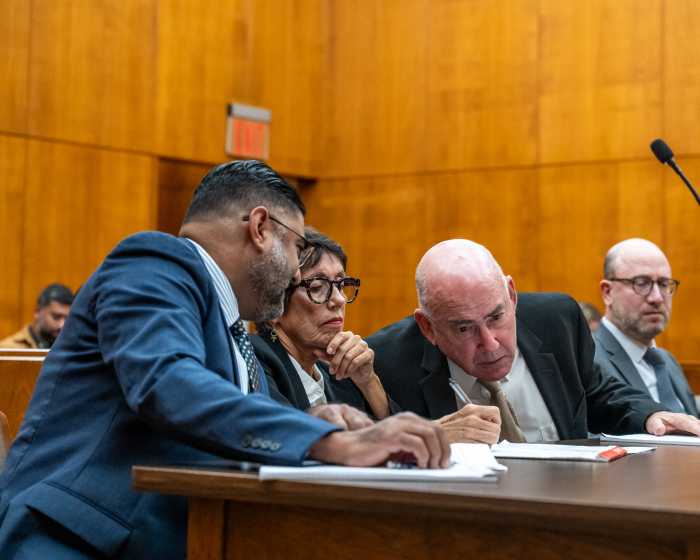 lawyers in brooklyn democratic party hearing 