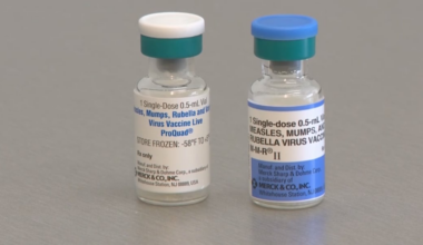Measles cases prompt state disaster emergency in New York