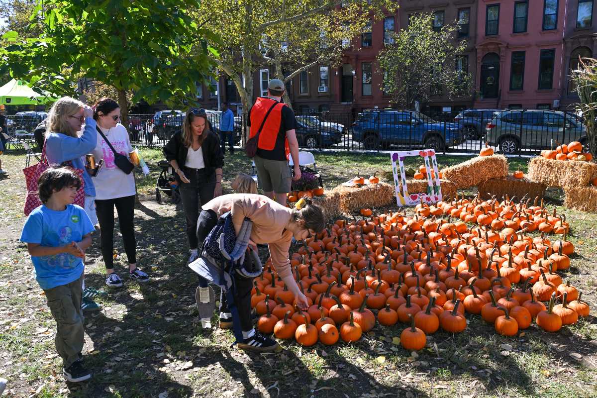 Mamdani rolls out spook-tacular fall and Halloween events at NYC parks and rec centers