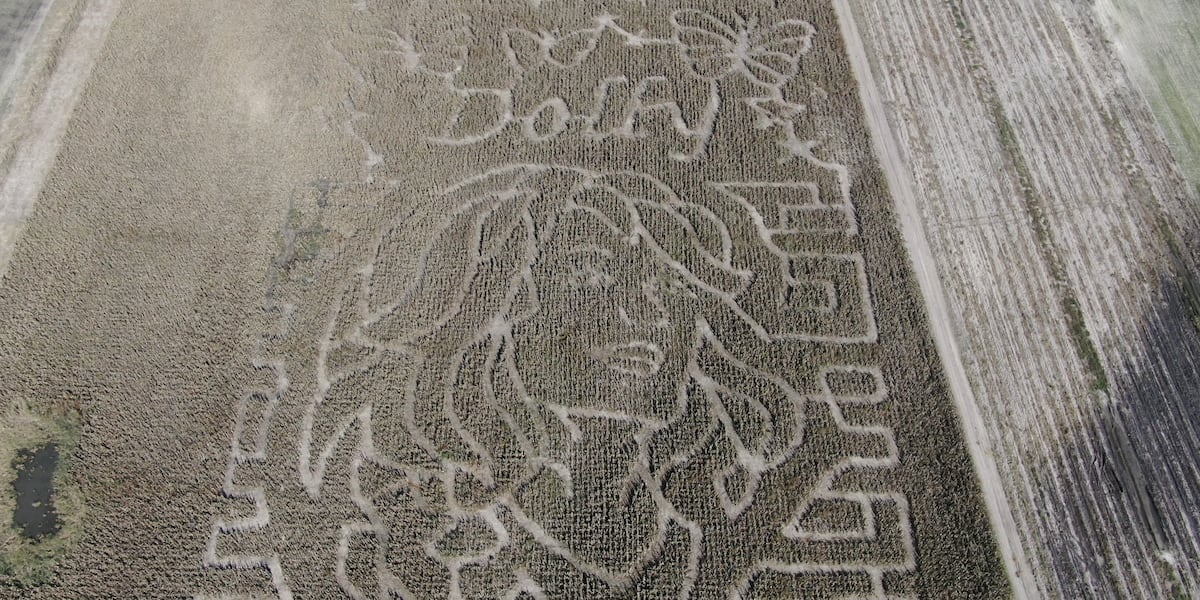 Manhattan farm honors Dolly Parton with corn maze supporting children’s literacy