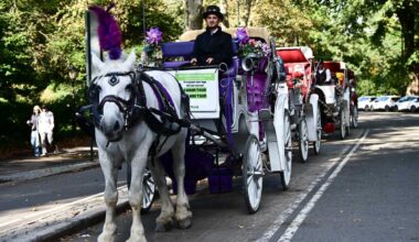Editorial | No chance for NYC horse carriages; City Hall must take care of the workers