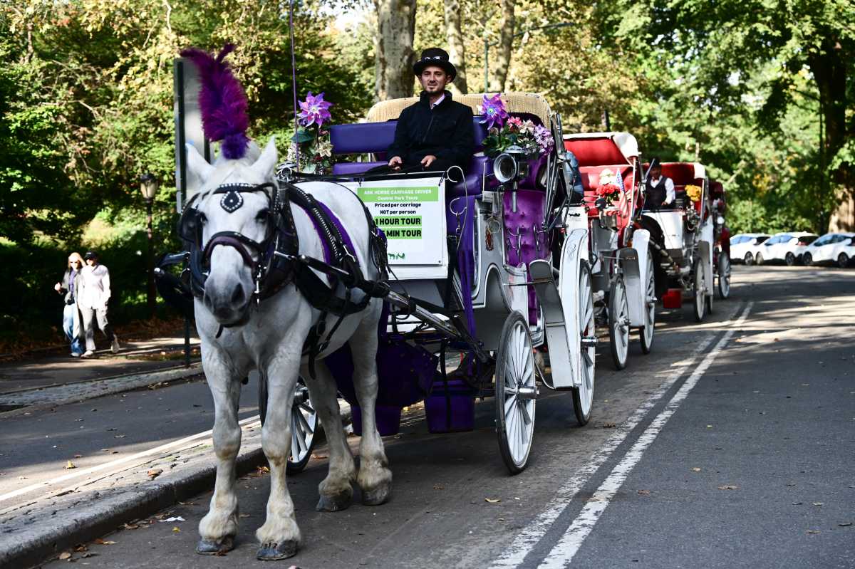 Editorial | No chance for NYC horse carriages; City Hall must take care of the workers
