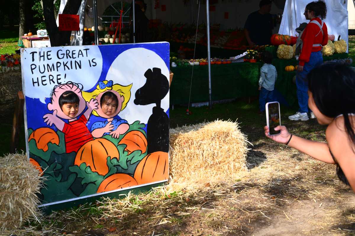 Have a ‘gourd’ time at Queens Farm with pumpkin patch, petting zoo and Halloween activities – QNS