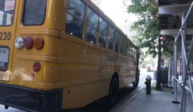 school buses