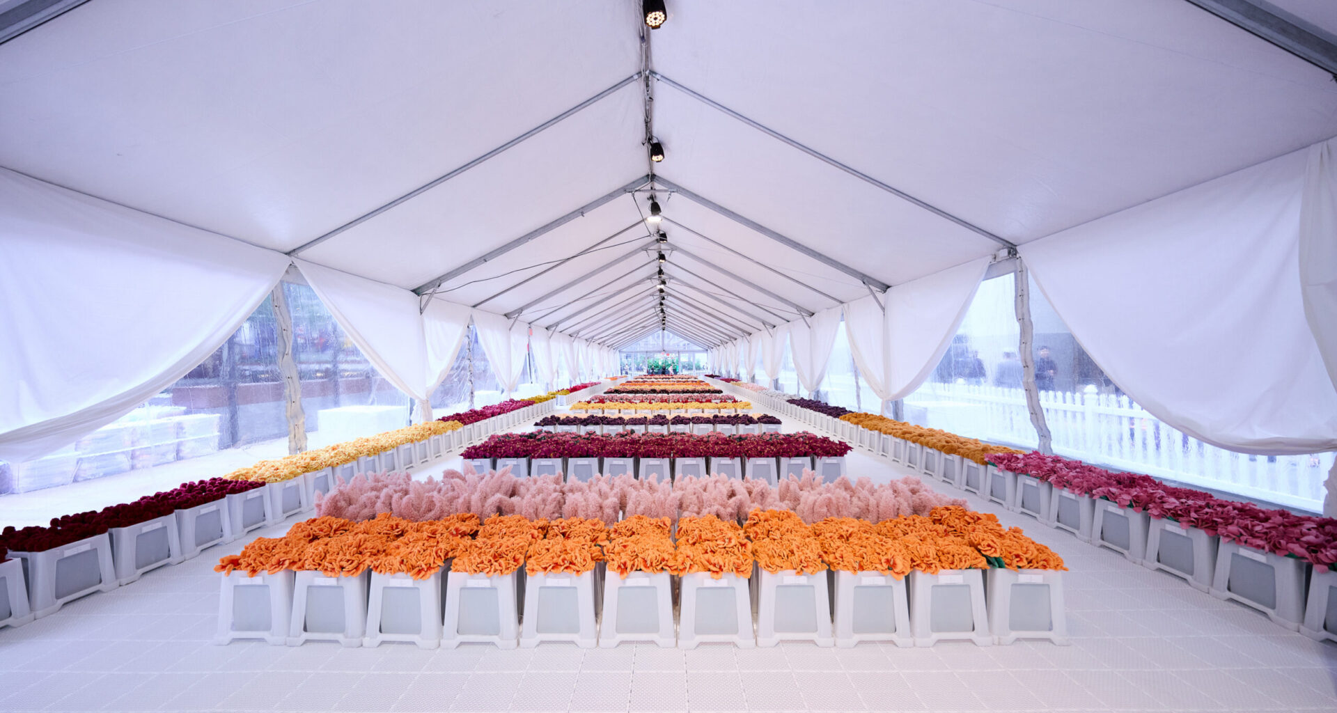 Cj Hendry’s free Flower Market comes to Greenpoint October 17–19 | Brooklyn Bridge Parents