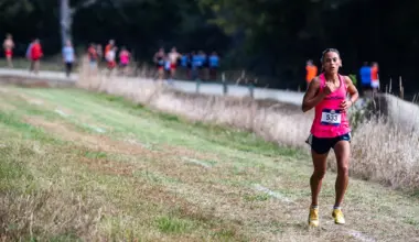 MHS cross country squads sweep sub-state