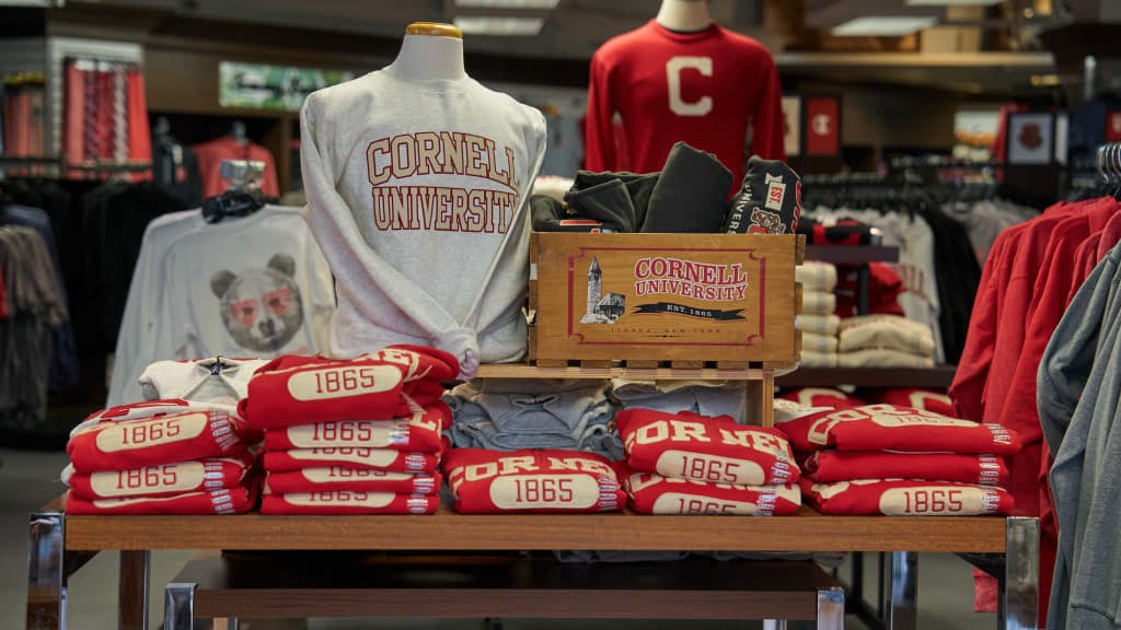 Cornell Sex Assault Case Raises Questions About Title IX Accountability and New York’s Intoxicated Consent Law