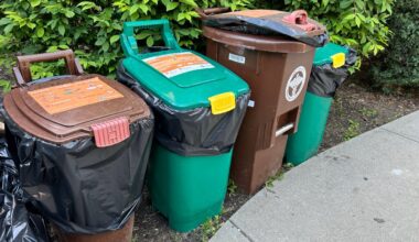Food scrap pickup services are making composting easier – NBC Connecticut