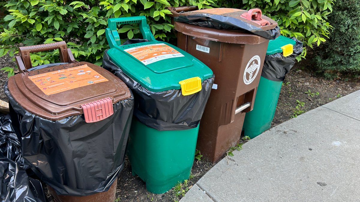 Food scrap pickup services are making composting easier – NBC Connecticut
