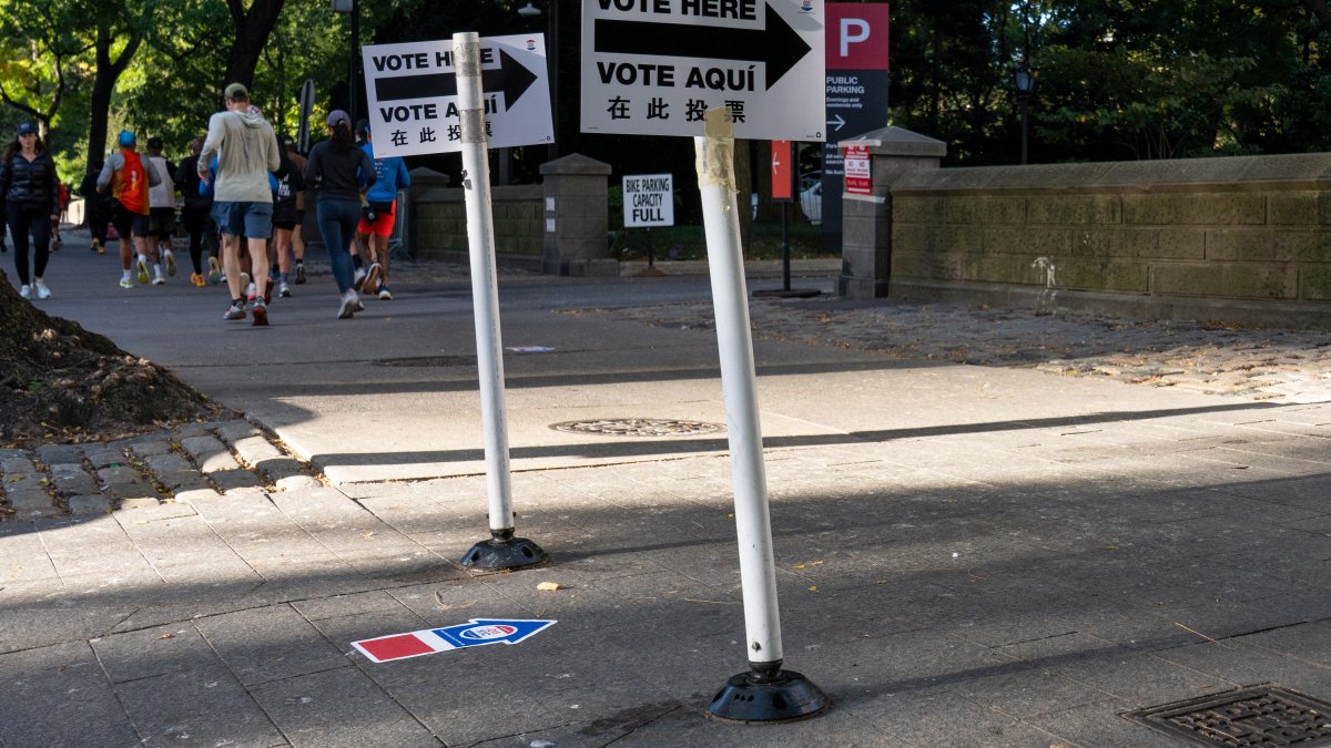 How many people have voted early in New York City? – NBC New York