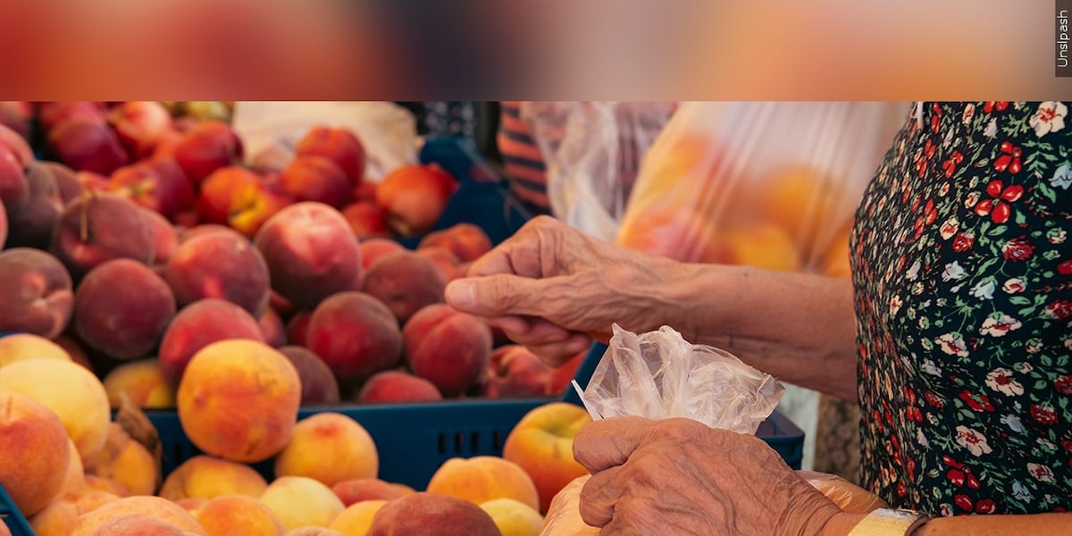 New York rolls out $26.4M food assistance initiative amid federal SNAP rule changes