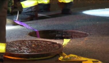 NYC sewer crawlers spotted early Sunday in Hamilton Heights – NBC New York