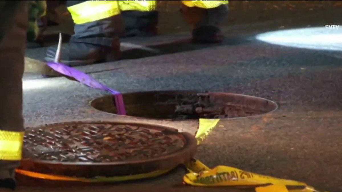NYC sewer crawlers spotted early Sunday in Hamilton Heights – NBC New York
