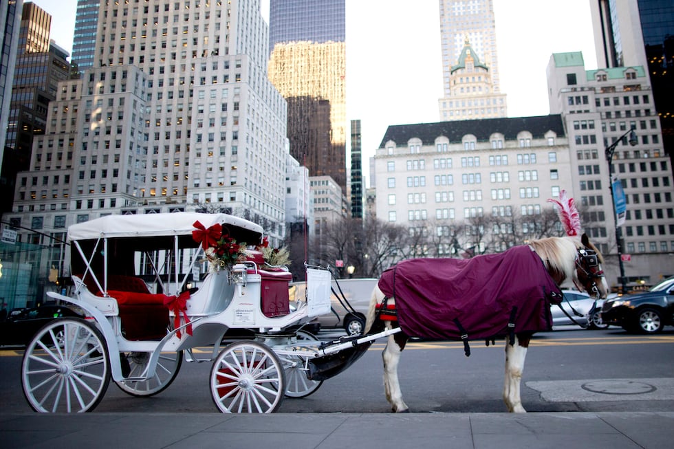 FILE - A carriage horse is covered with a blanket, waiting for customers on Central Park South...