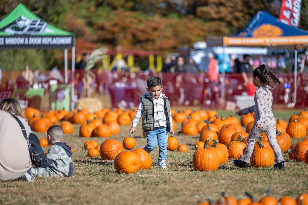 Children walk through a pumpkin patch at the 2025 Catholic Charities of Staten Island Fall Festival, held in late October 2025.