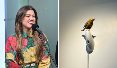 Kelly Clarkson's Brooklyn store visit becomes social media controversy