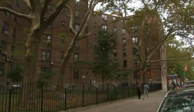 Nostrand Houses to get repairs under Preservation Trust