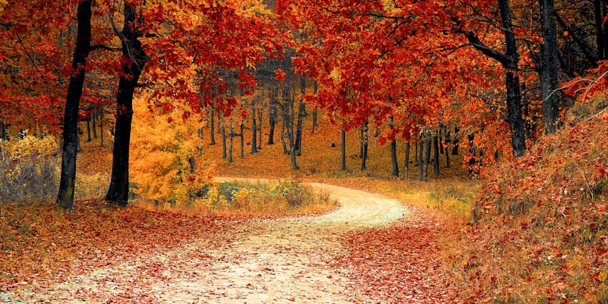 Metro-North adds ‘leaf peeper’ trains