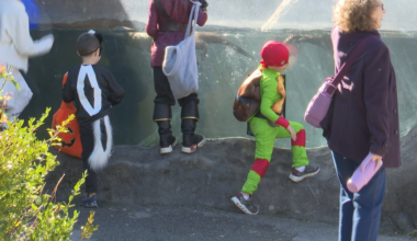 Boo at the Zoo underway at Zoo New York